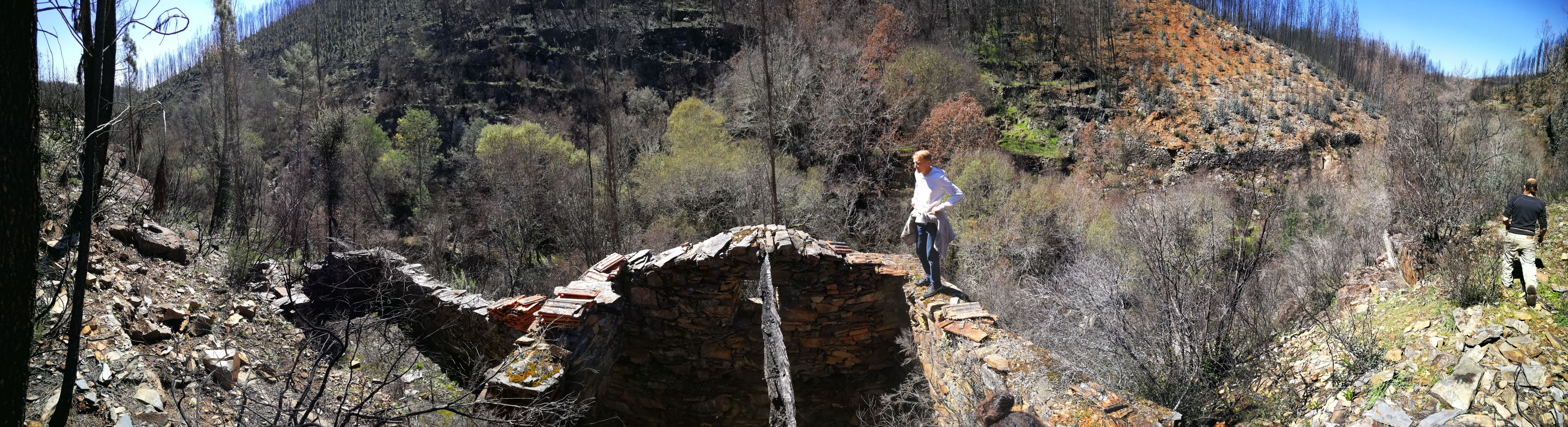 March 2018 Ruine 2
